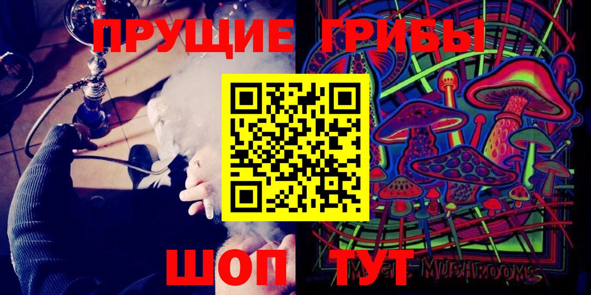 Черняховск  как найти наркотики  Вход с VPN  Псилоцибиновые грибы Psilocybe 