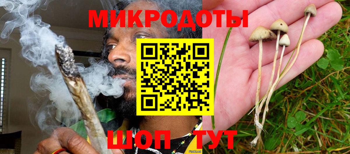 Псилоцибиновые грибы GOLDEN TEACHER Черняховск